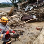 Ini Cara Pemerintah Telusuri Gelondongan Kayu Besar Tersapu Banjir Sumatra