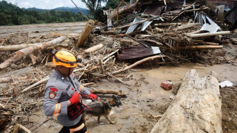 Ini Cara Pemerintah Telusuri Gelondongan Kayu Besar Tersapu Banjir Sumatra