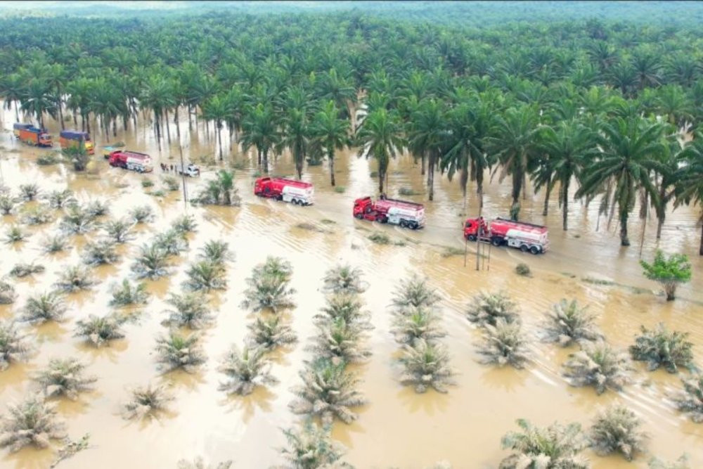 Revisi UU Cipta Kerja Mendesak di Tengah Kerusakan Hutan Sumatera